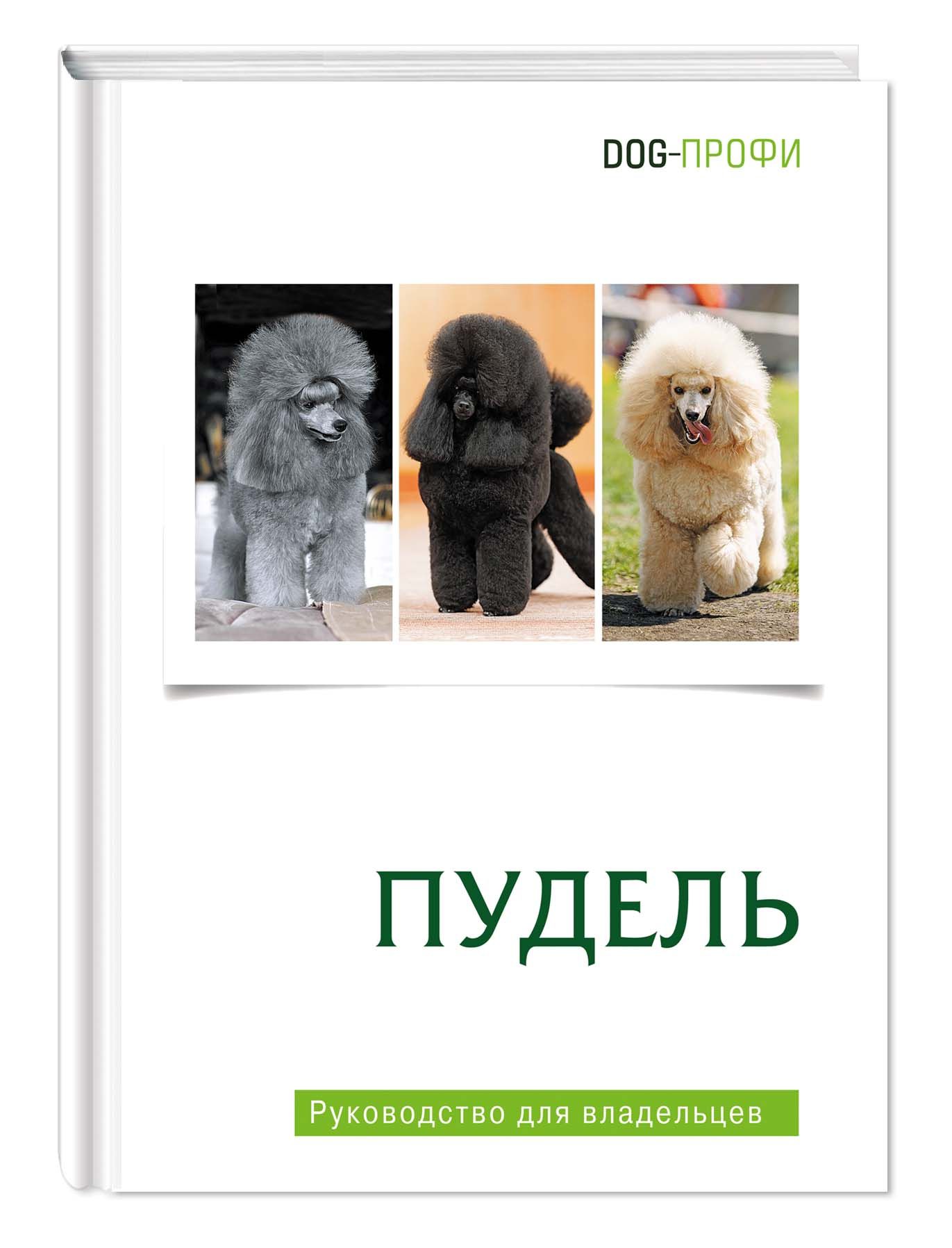 Памятка для будущих владельцев пуделя — poodle.by