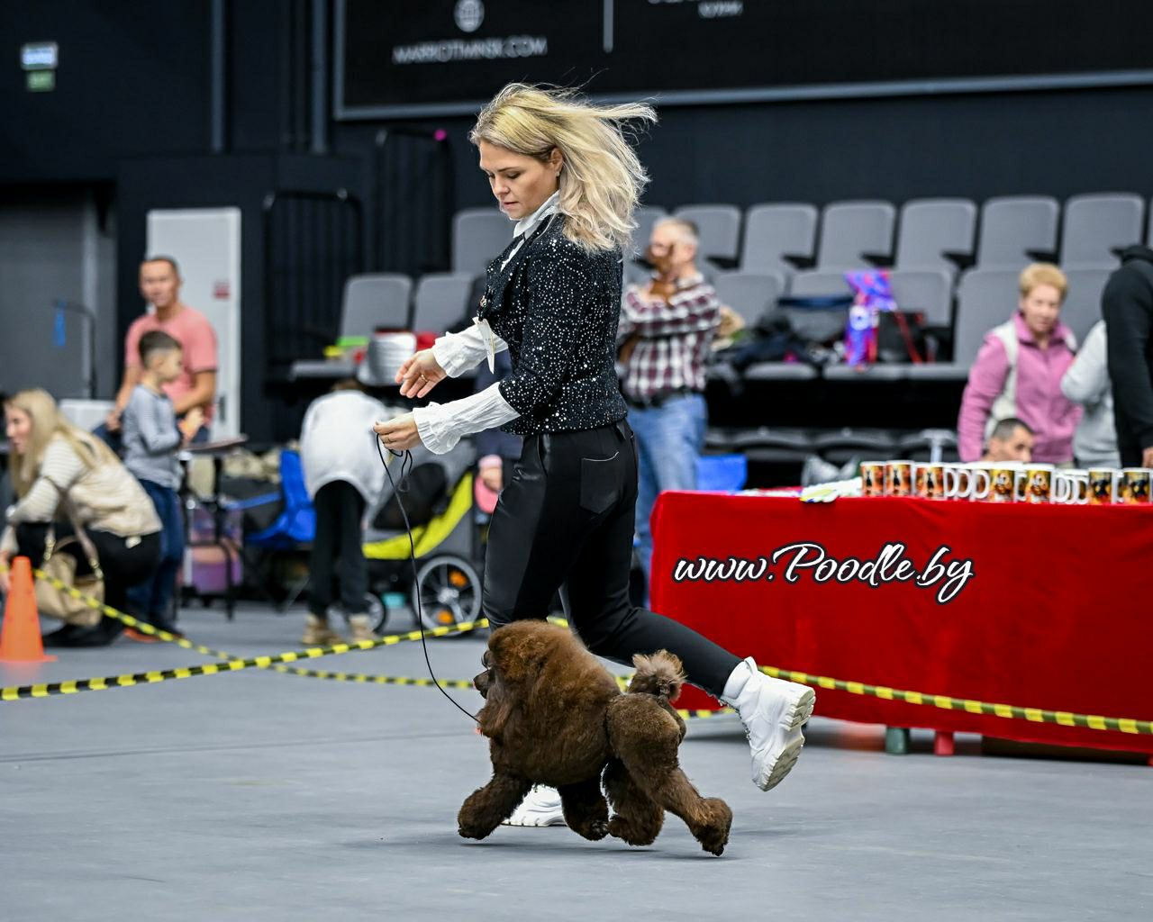 Mono-breed kennel of Toy Poodles in the Republic of Belarus , offers puppies selected breeding