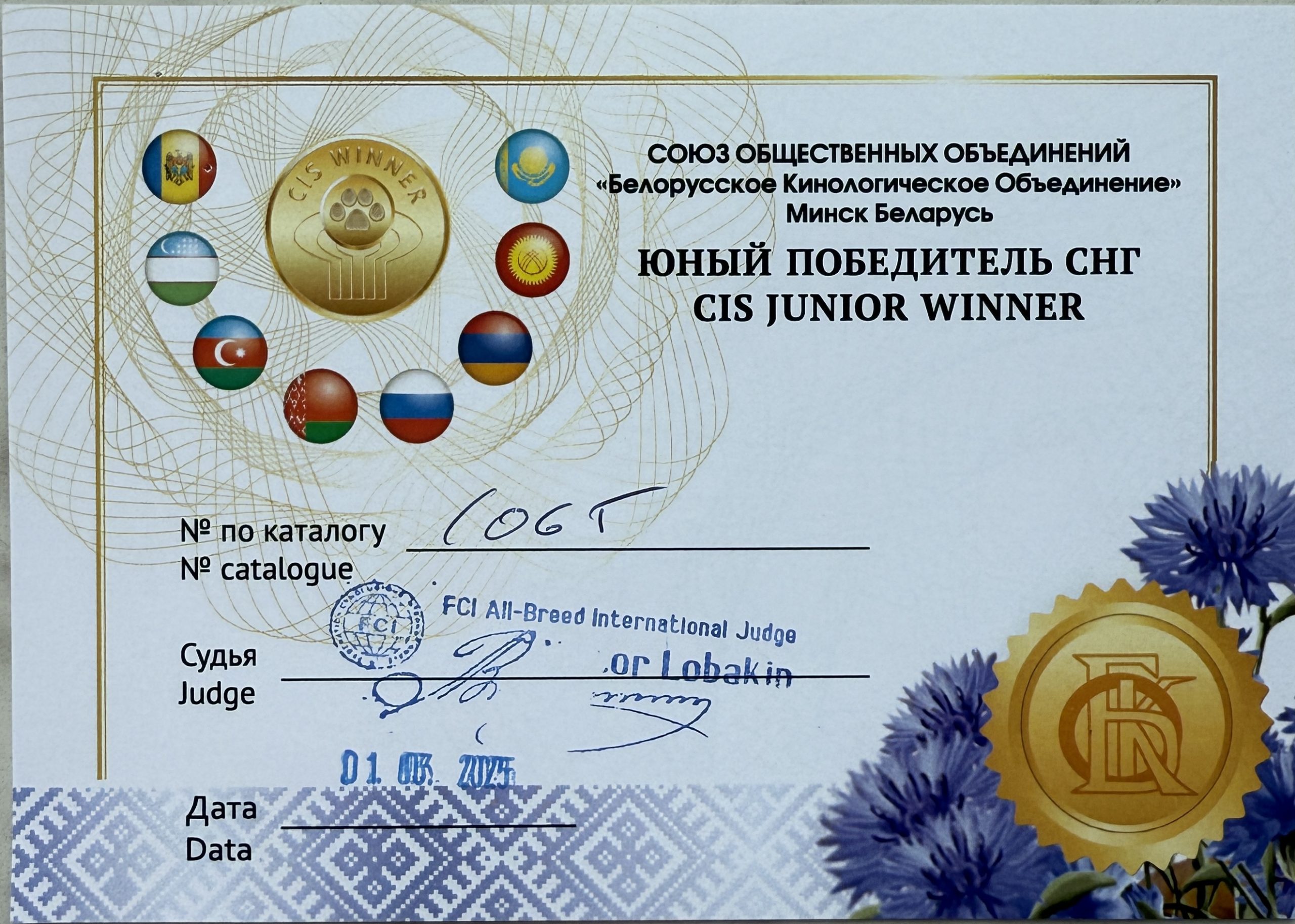 ЮНЫЙ ПОБЕДИТЕЛЬ СНГ CIS JUNIOR WINNER