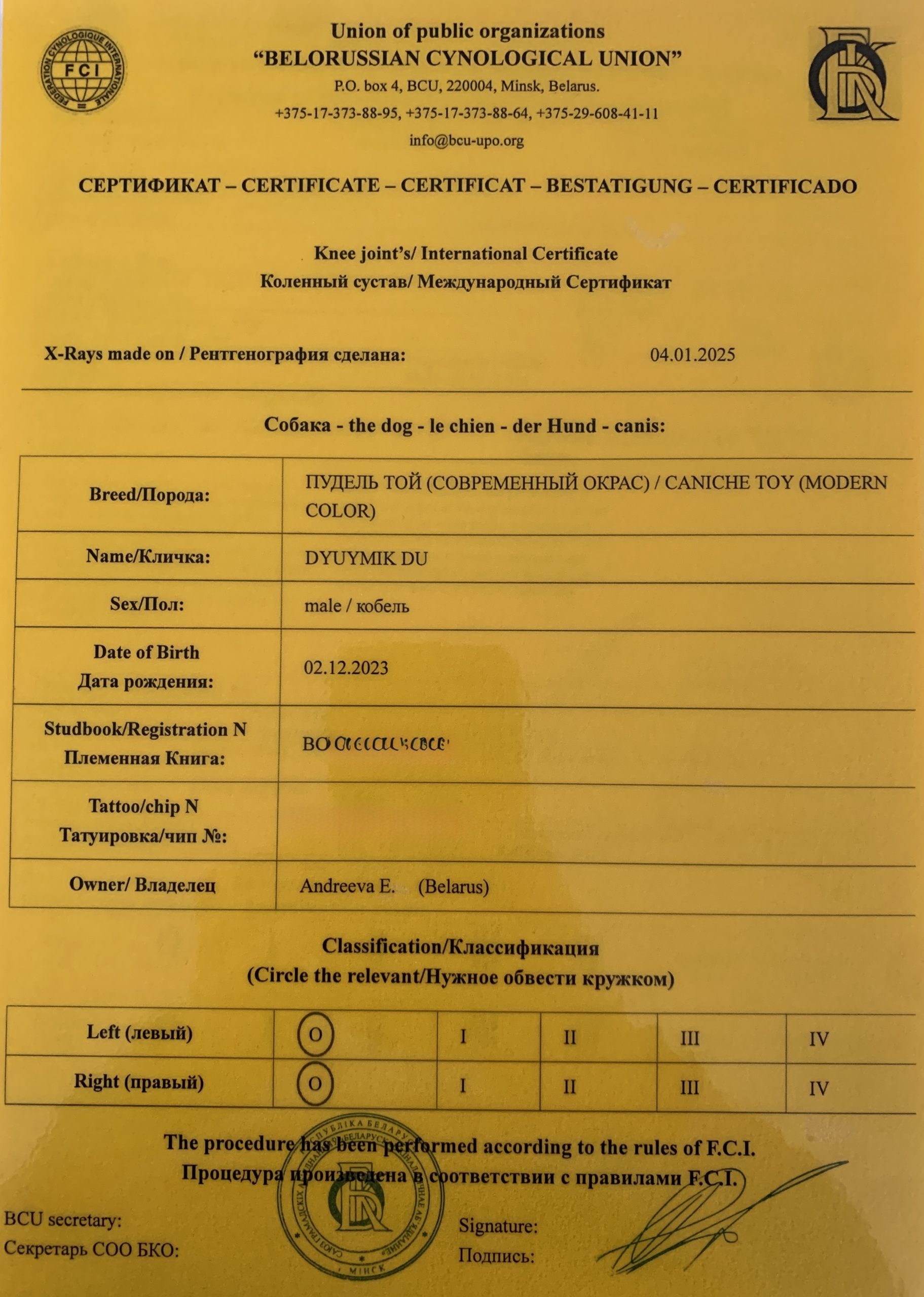 Тест на колени потела у той пуделя минск
