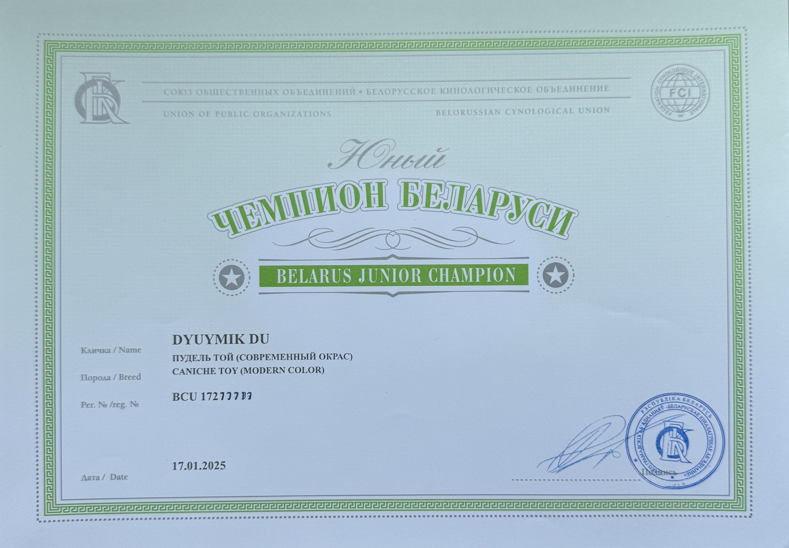 Той пудель для шоу и разведения! продажа