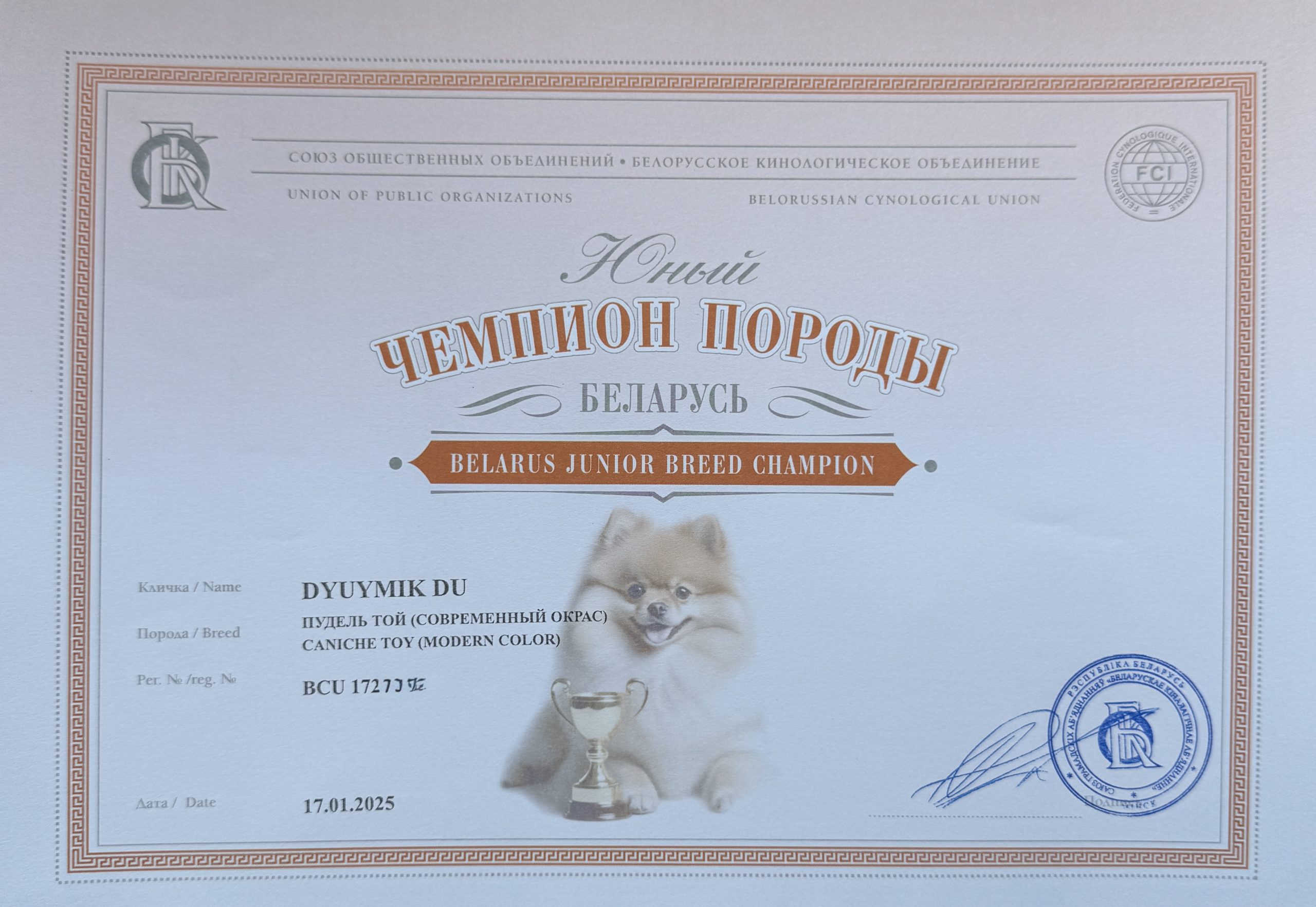 L’Katrin De RoYn’s puppy poodle toy red FCI