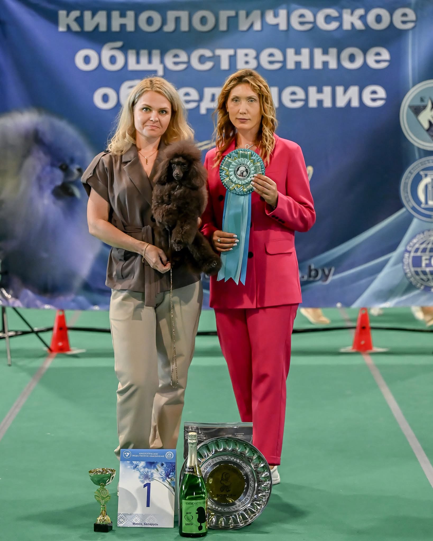 poodle toy for sale belarus minsk щенки той пуделя купить в минске