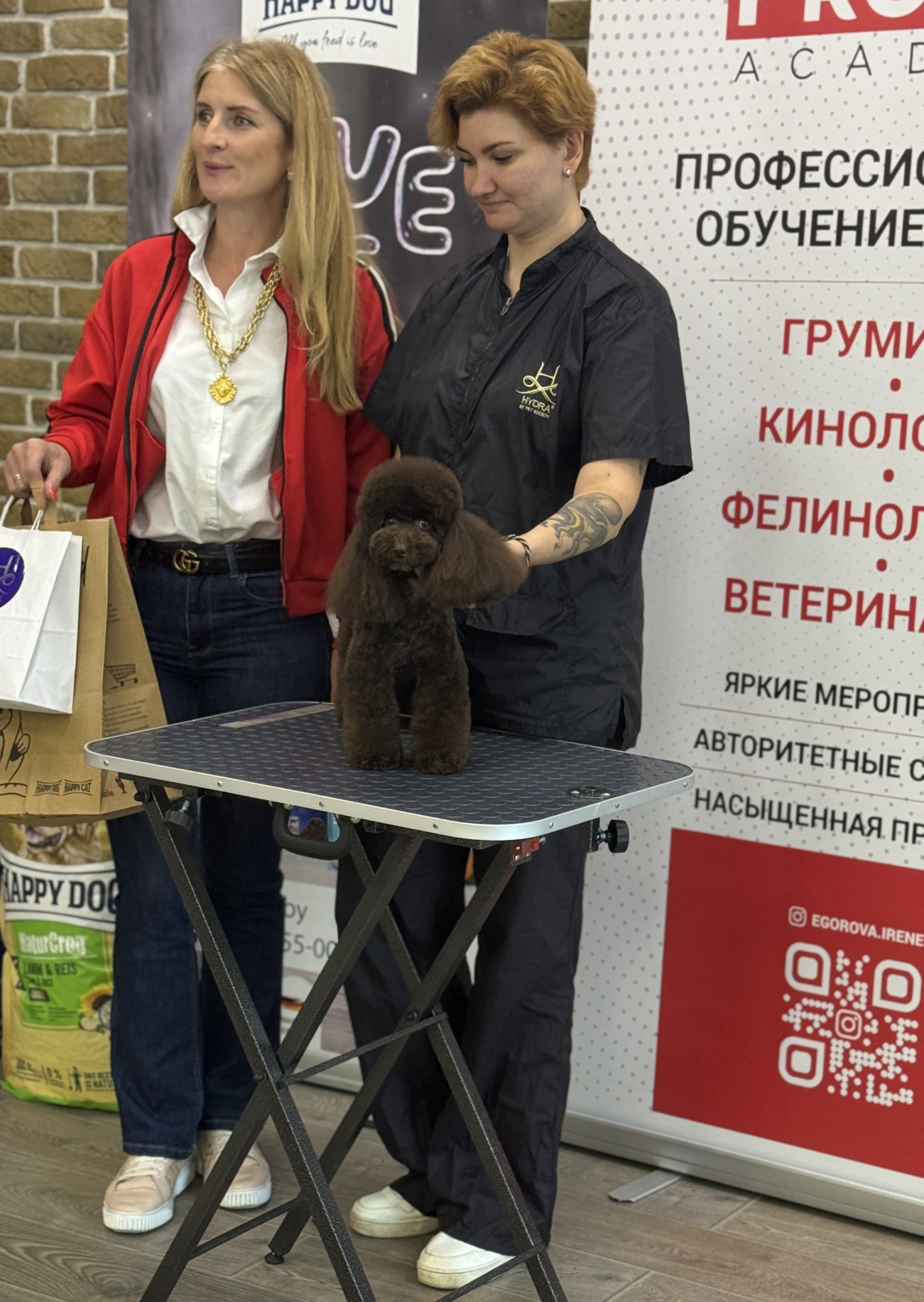 Груминг пуделя Минск