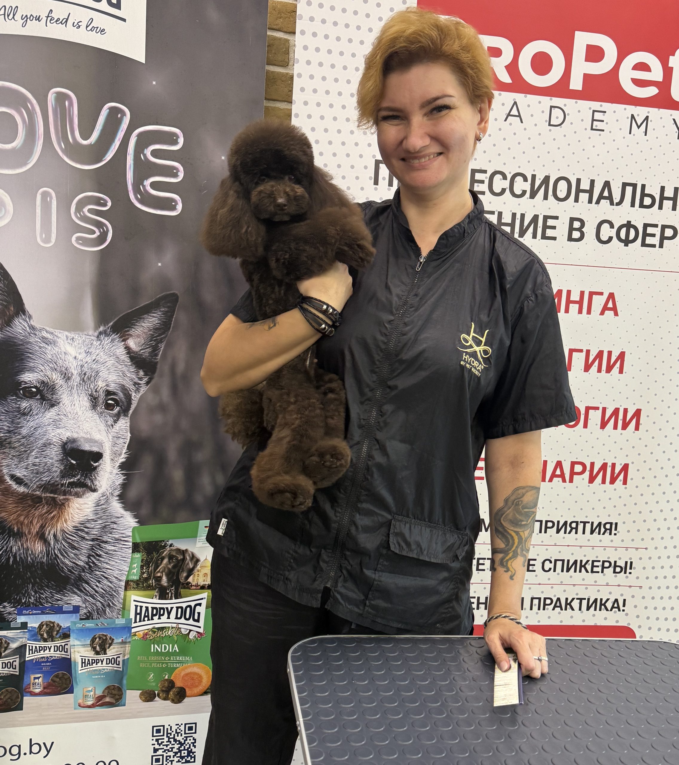 chocolate toy poodle puppies for sale Minsk Belarus