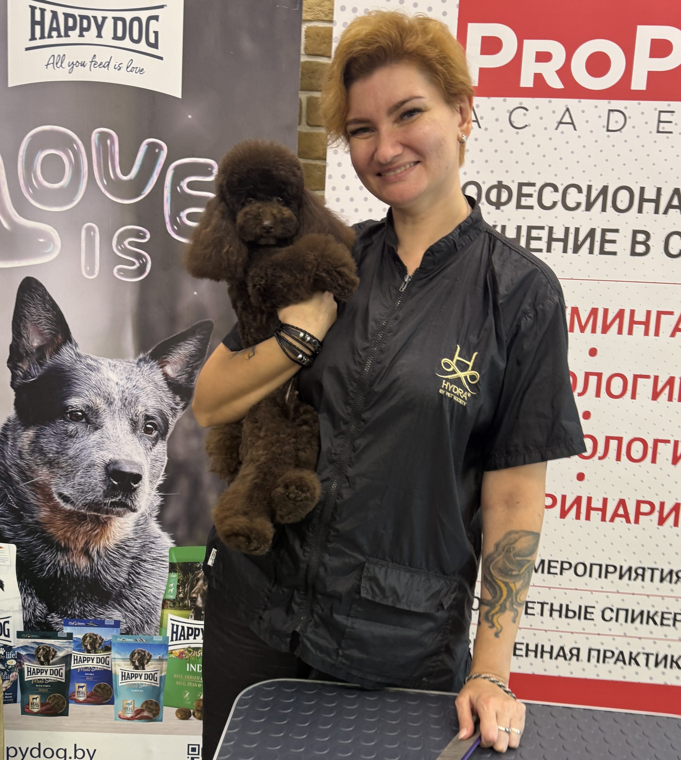 kennel FCI poodle toy brown Belarus Minsk