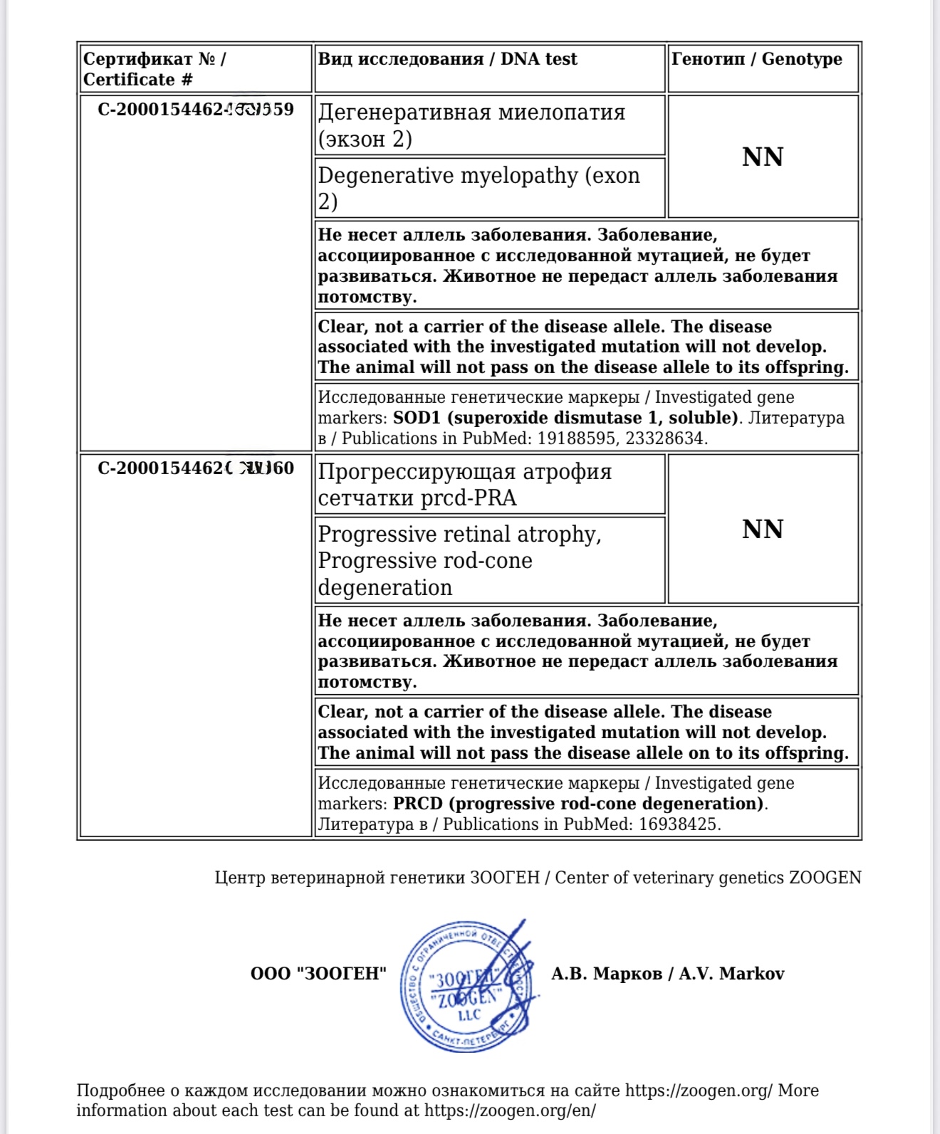 Прогрессирующая атрофия сетчатки prcd- PRA