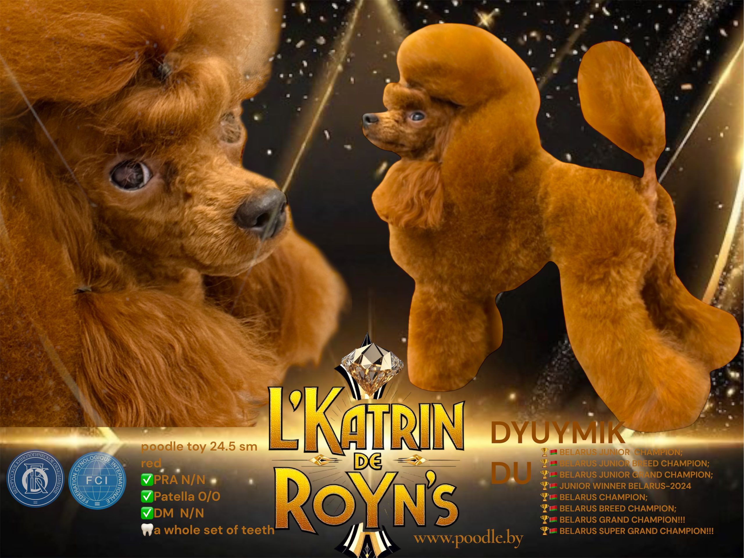 L’Katrin De RoYn’s puppy poodle toy red FCI