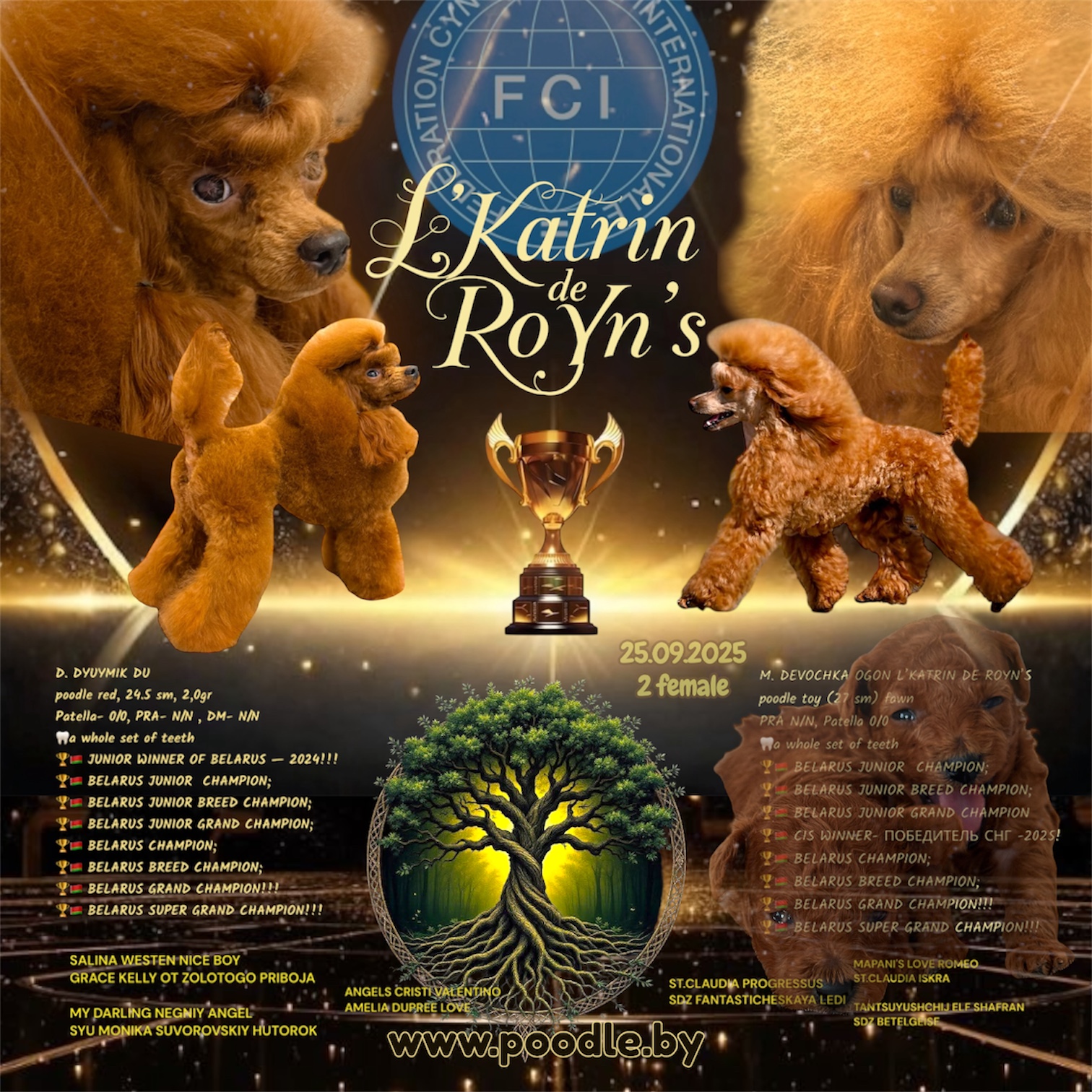 щенки той пуделя беларусь