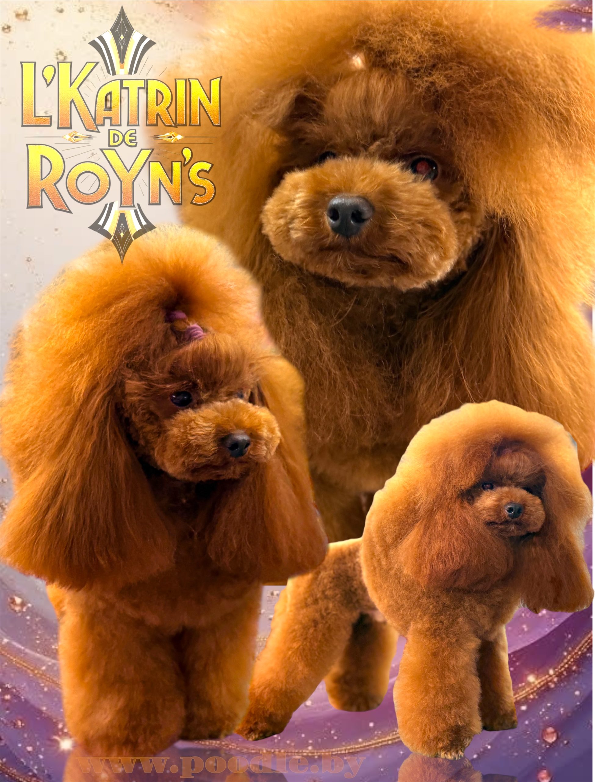 #тойпудель #пудельбеларусь #тойпудельбеларусь #красныйтойпудель #красныйпудель #щеноктойпуделя #щенокпуделяминск #щенокредбраун #щенкипуделя #maltipoodle #продажащенковпуделя #пудельтикап #тикап #тикапминск #maltipoo #спуделемпожизни #puppy #toypoodles #poodlesofficial #poodleofinstagram #poodleoftheday #poodlepuppies #пудельминск #poodledog #poodlemania #poodletoy #LKatrinDeRoYns #щенкипуделямосква #тойпудельмосква