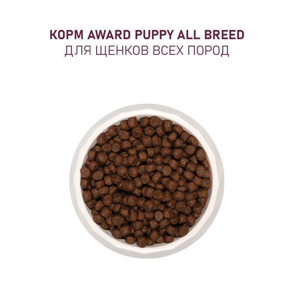 кормить щенка пуделя