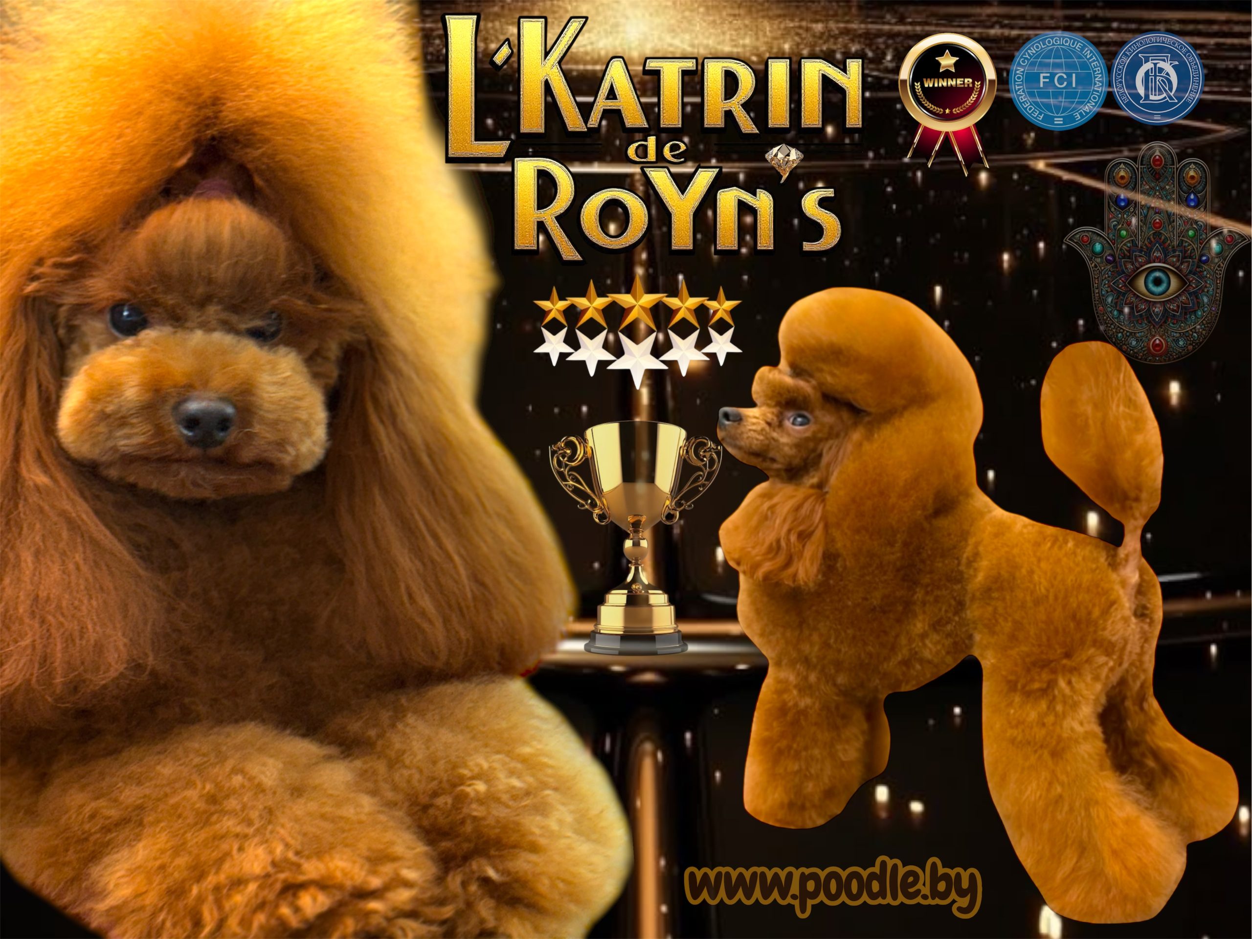poodle toy for sale belarus minsk щенки той пуделя купить в минске