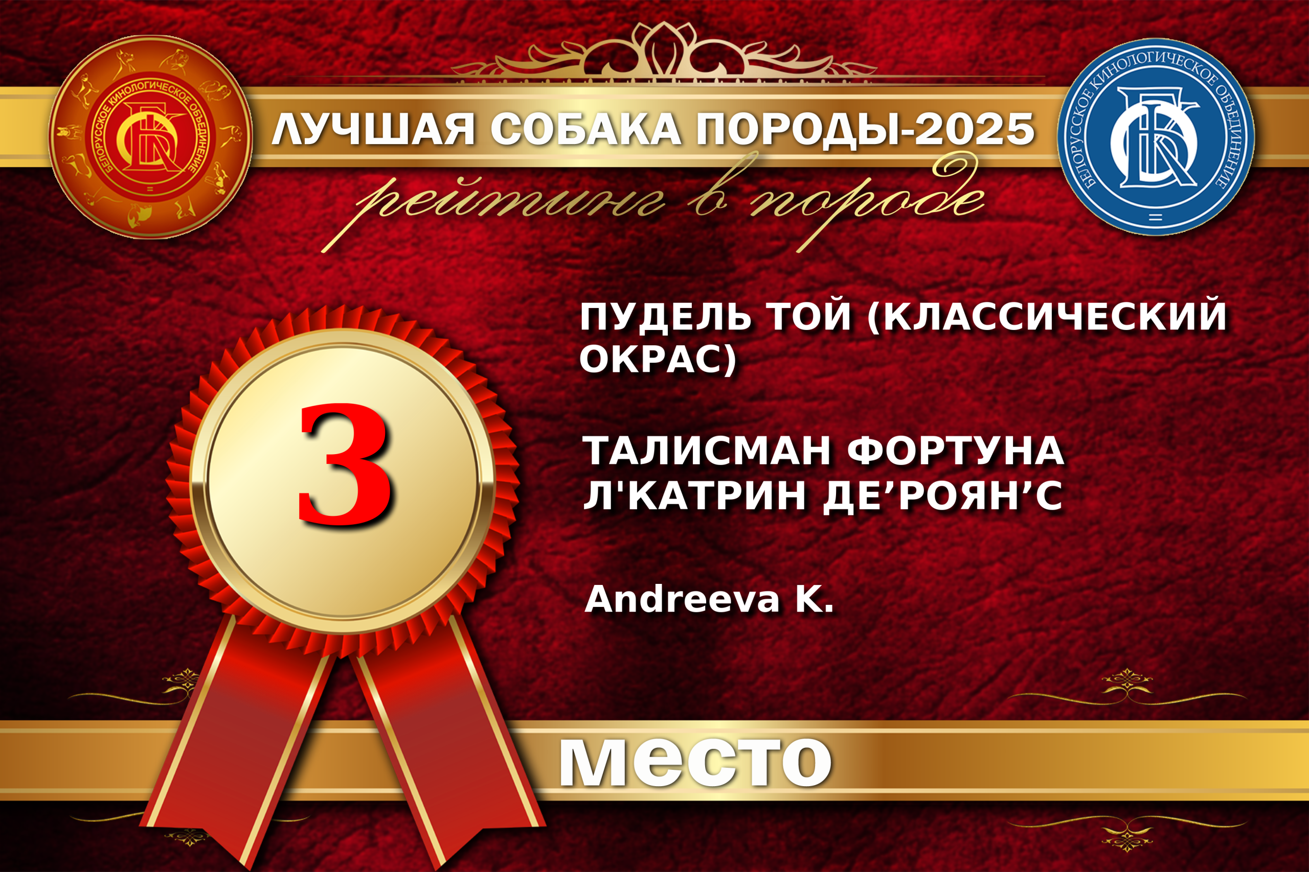 poodle toy for sale belarus minsk щенки той пуделя купить в минске