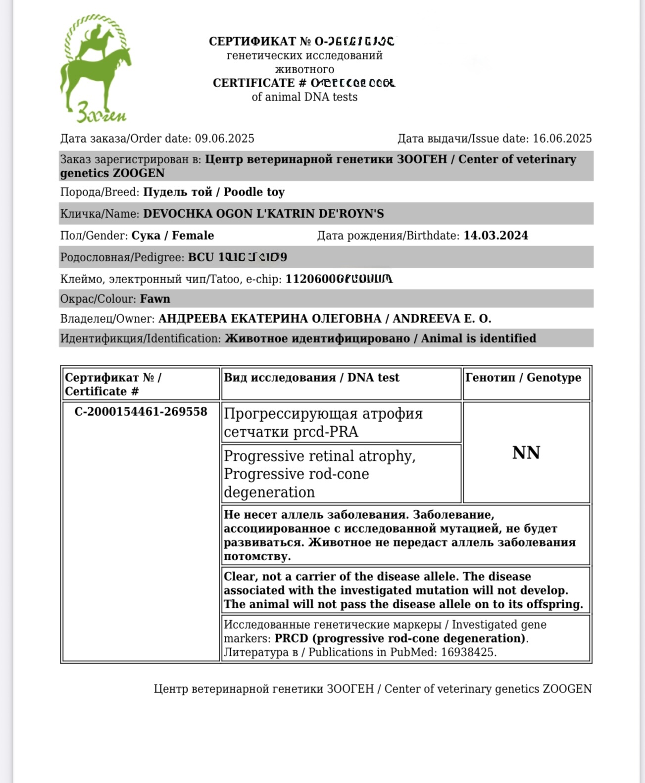Тест на пателлу 0-0 означает, что коленный сустав собаки здоров, и коленная чашечка (пателла) находится в полностью нормальном положении без признаков смещения (вывиха), что является идеальным результатом для племенного разведения и подтверждается международным сертификатом.
