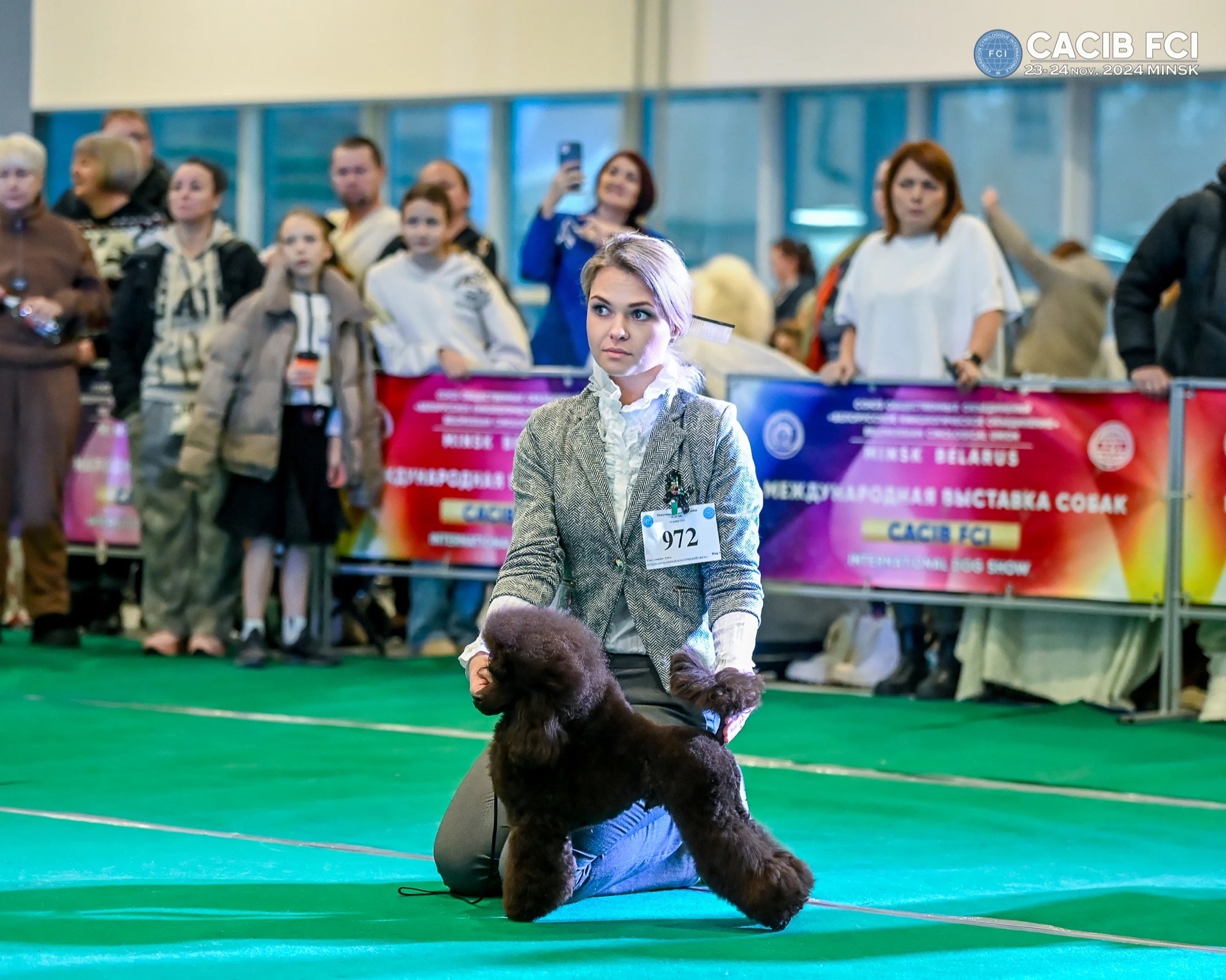 #тойпудель #пудельбеларусь #тойпудельбеларусь #красныйтойпудель #красныйпудель #щеноктойпуделя #щенокпуделяминск #щенокредбраун #щенкипуделя #maltipoodle #продажащенковпуделя #пудельтикап #тикап #тикапминск #maltipoo #спуделемпожизни #puppy #toypoodles #poodlesofficial #poodleofinstagram #poodleoftheday #poodlepuppies #пудельминск #poodledog #poodlemania #poodletoy #LKatrinDeRoYns #щенкипуделямосква #тойпудельмосква