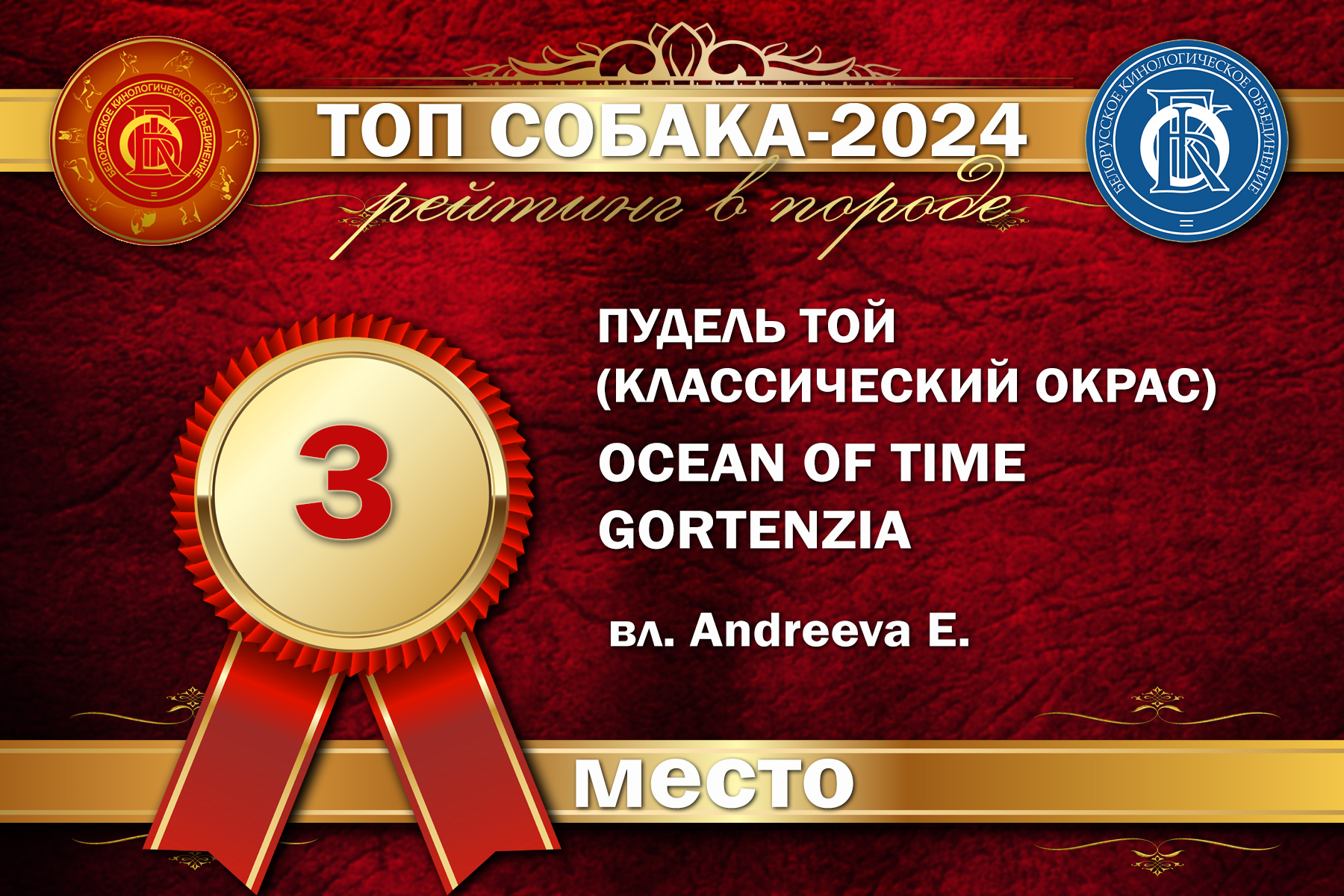 poodle toy for sale belarus minsk щенки той пуделя купить в минске