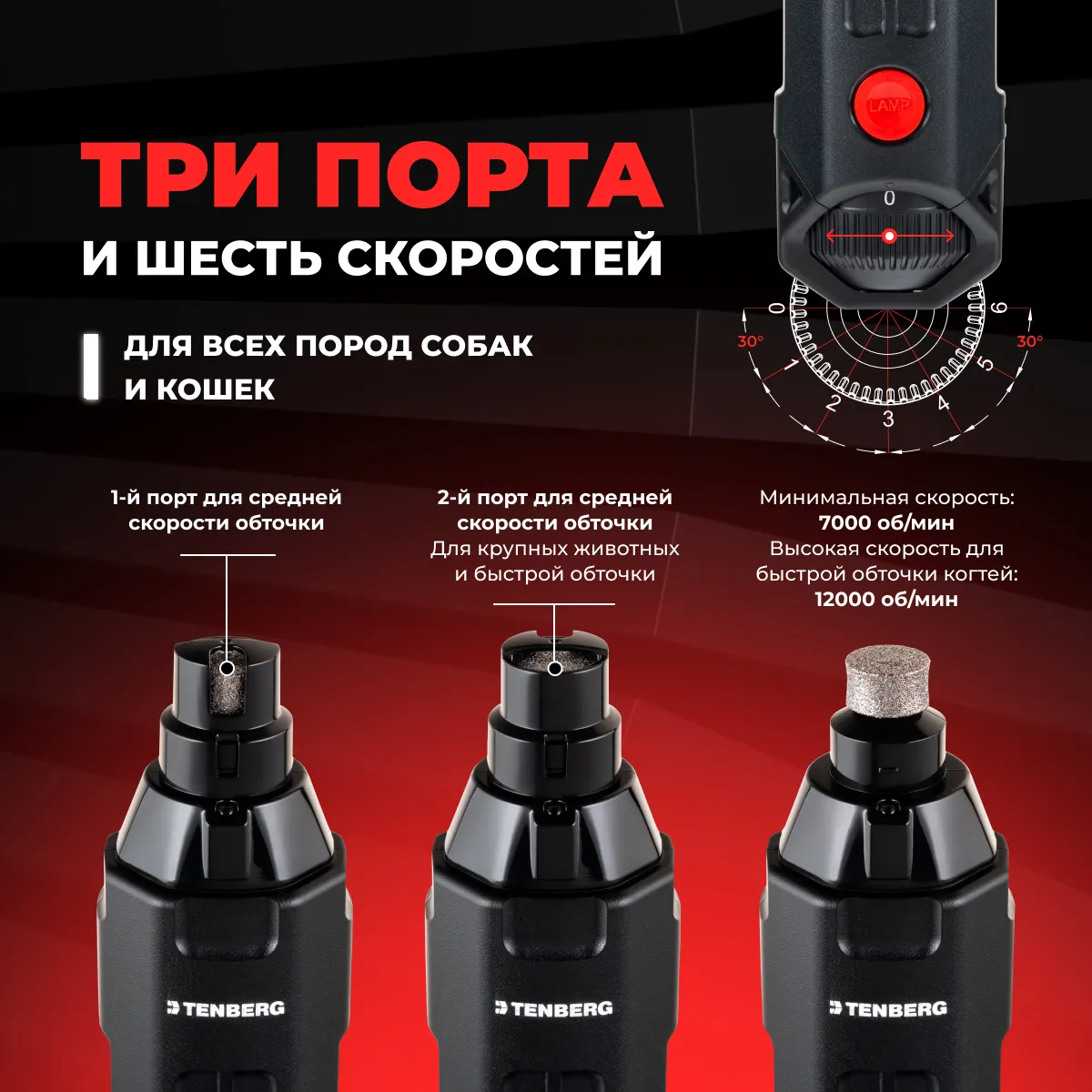 Что нужно купить и спланировать  ДО появления питомца в доме 1.Миска!