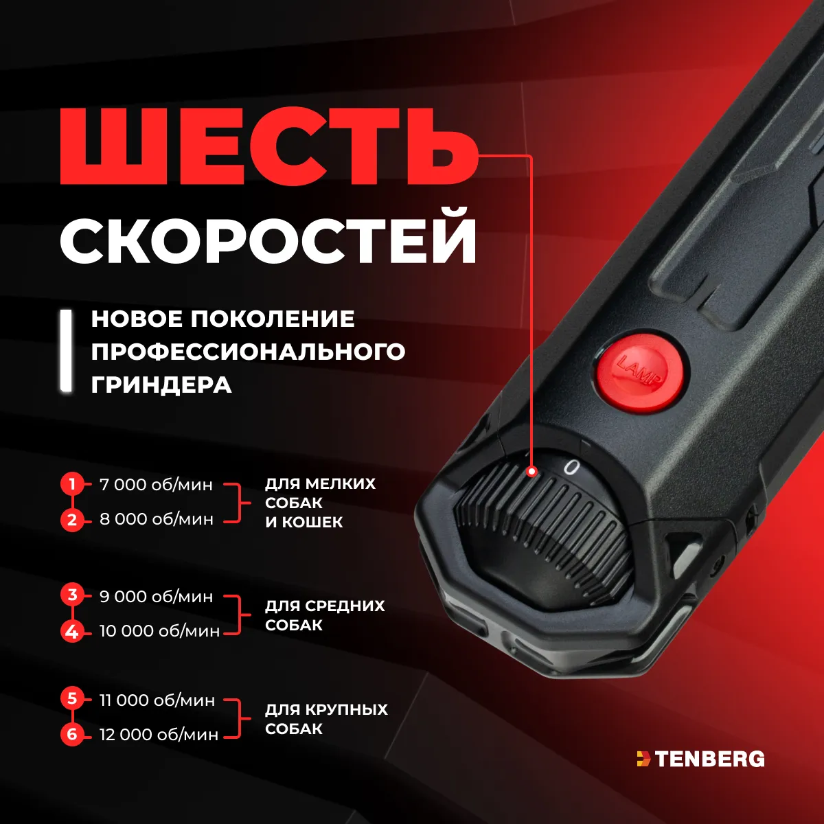 Что нужно купить и спланировать  ДО появления питомца в доме 1.Миска!