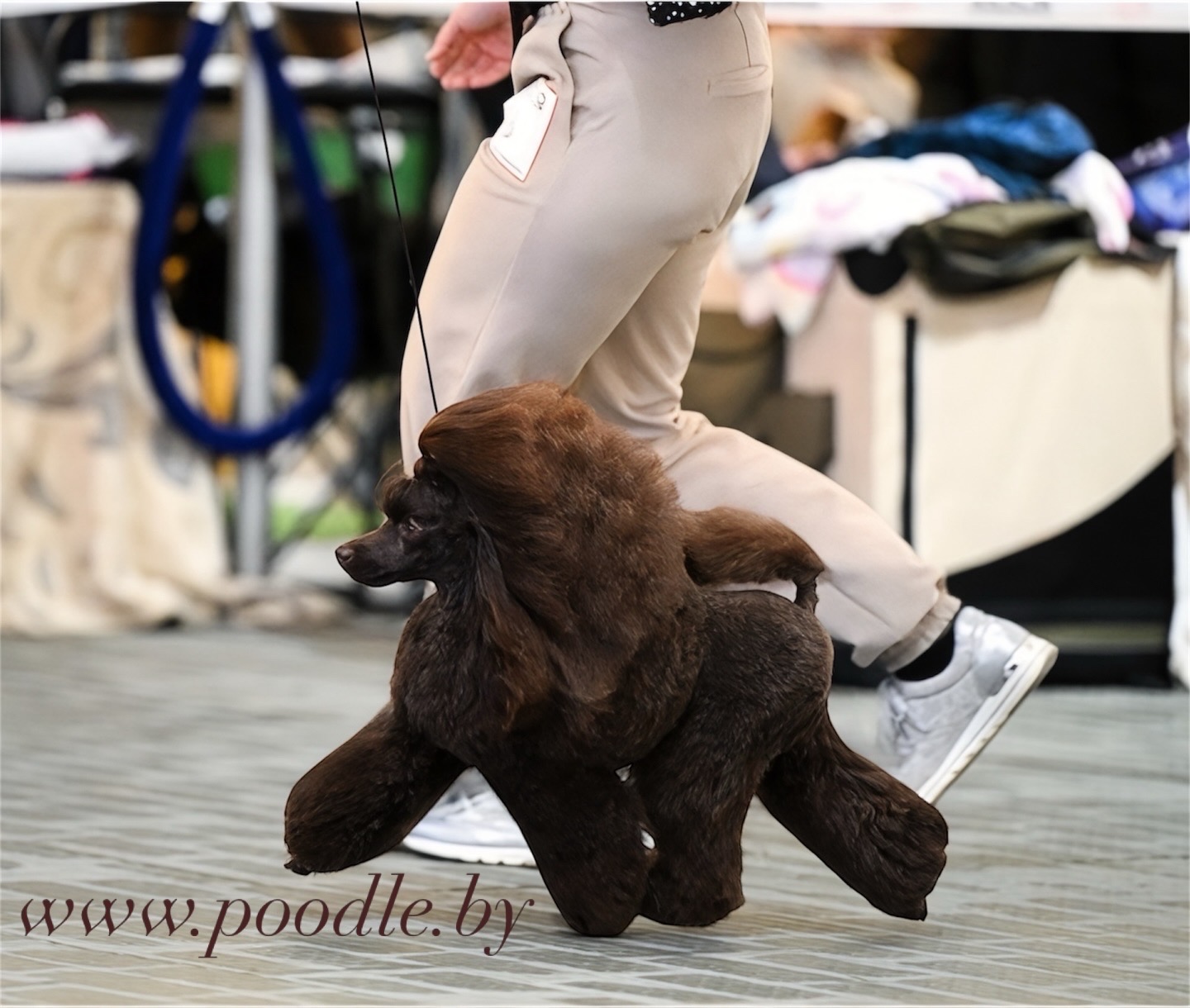 male puddle toy brown available Minsk Belarus