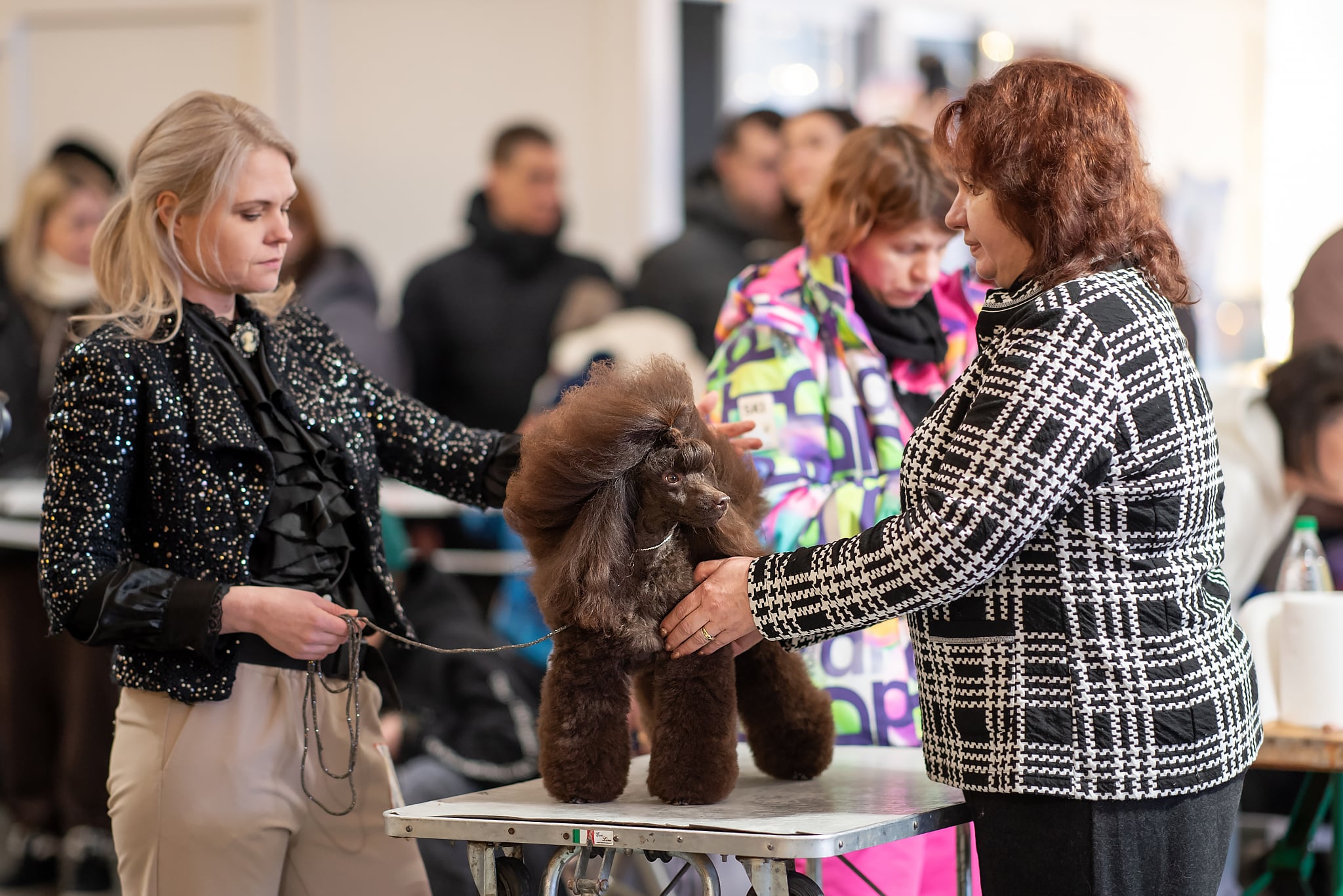 🏆чемпионы 🏆отл. 🏆CAC, 🏆ЛК 🏆ЛПП