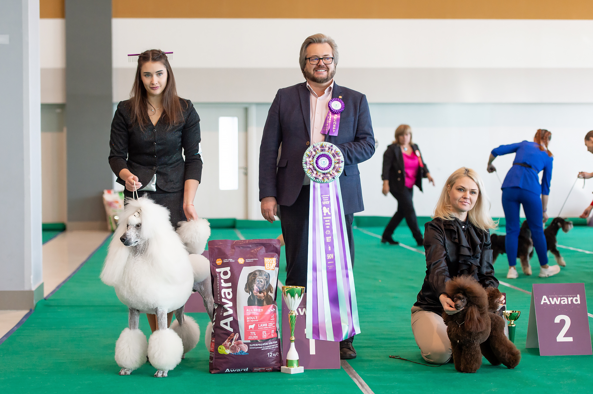 TALISMAN FORTUNA L'KATRIN DE'ROYN'S выставка пуделей минск беларусь 2026