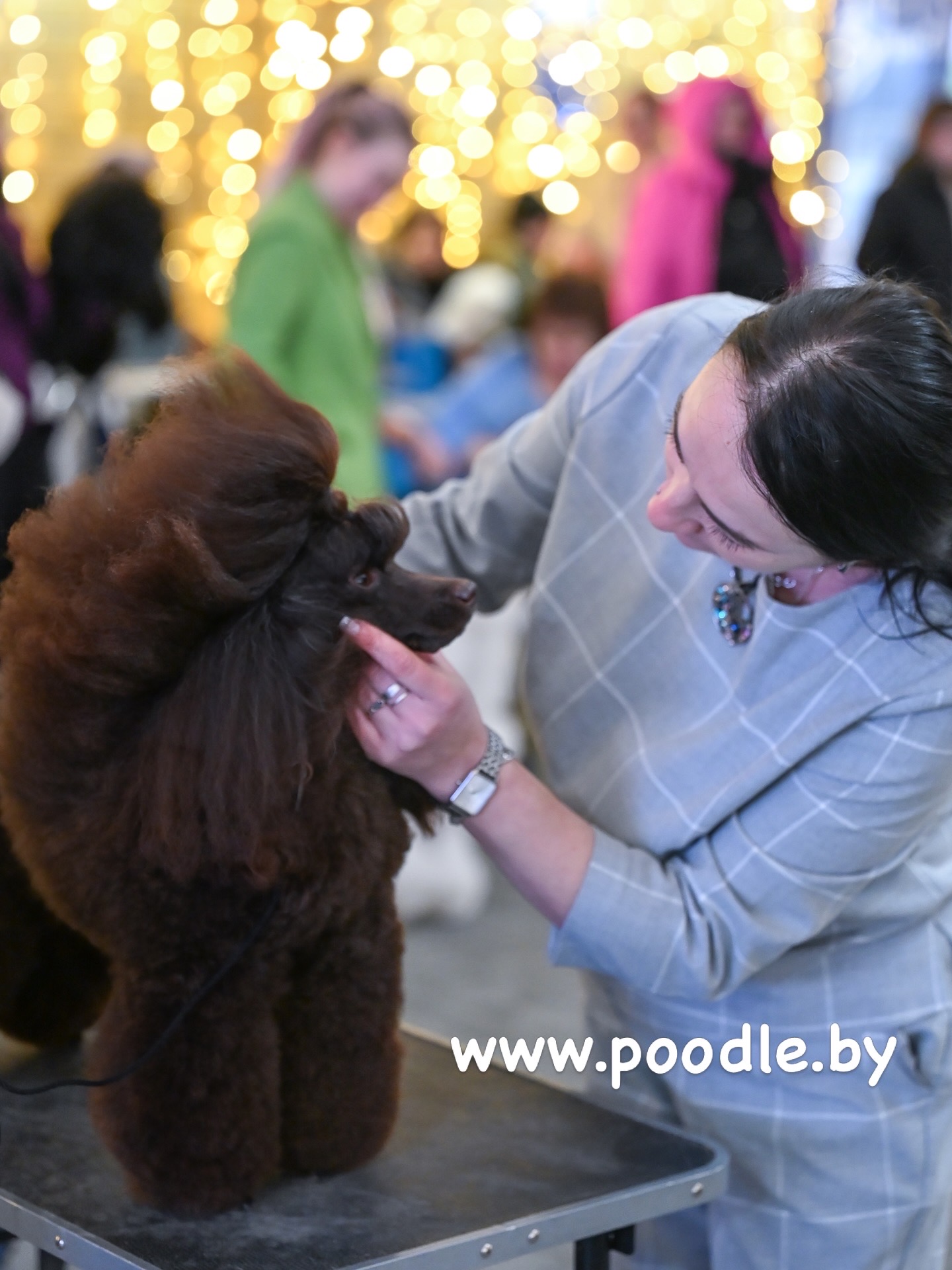 male puddle toy brown available Minsk Belarus