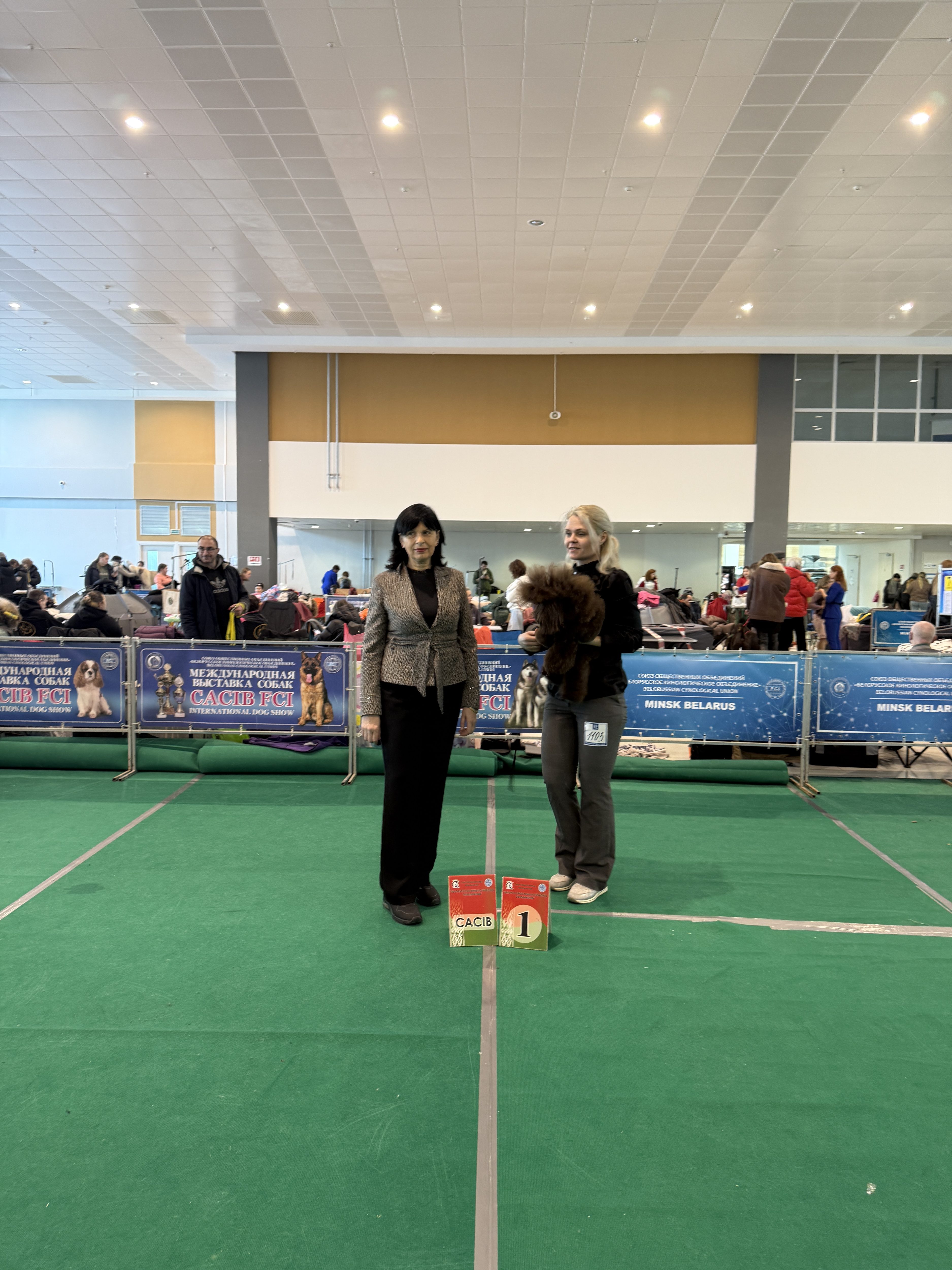 ВЫСТАВКА СОБАК БЕЛАРУСЬ 2026