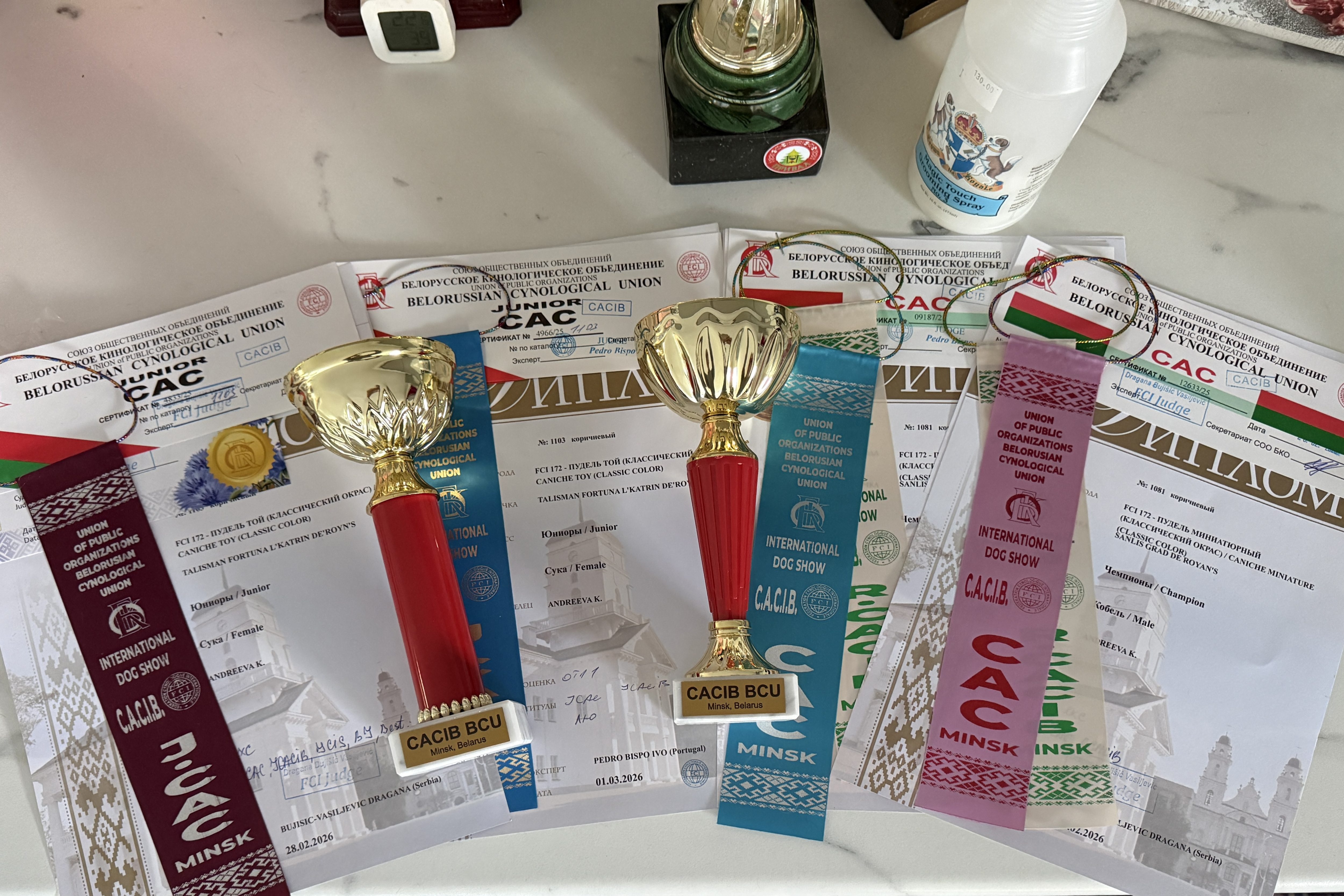 Международная выставка собак (CACIB) 28.02 -1.03.2026