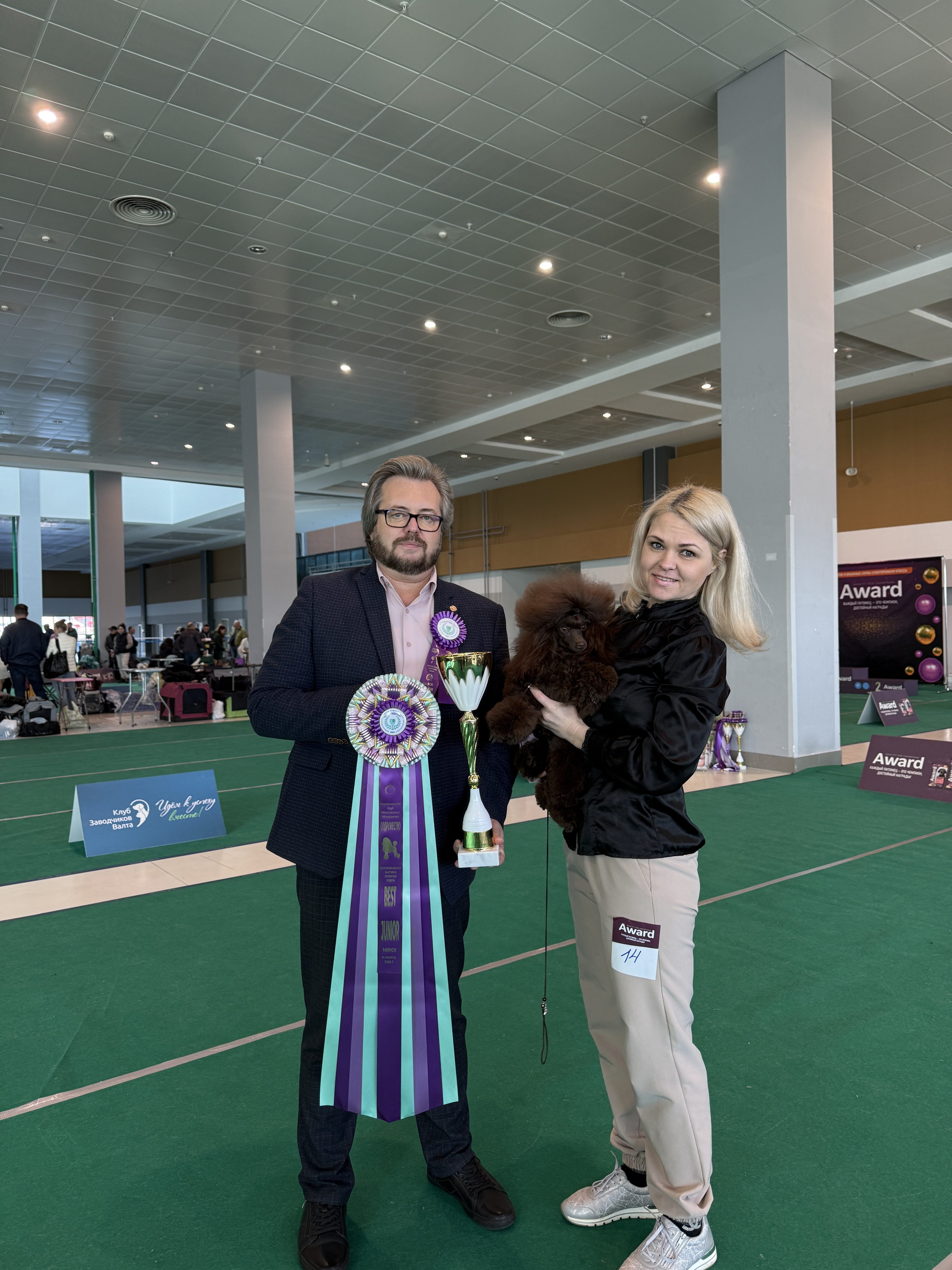 Республиканская выставка пуделей 14.03.2026