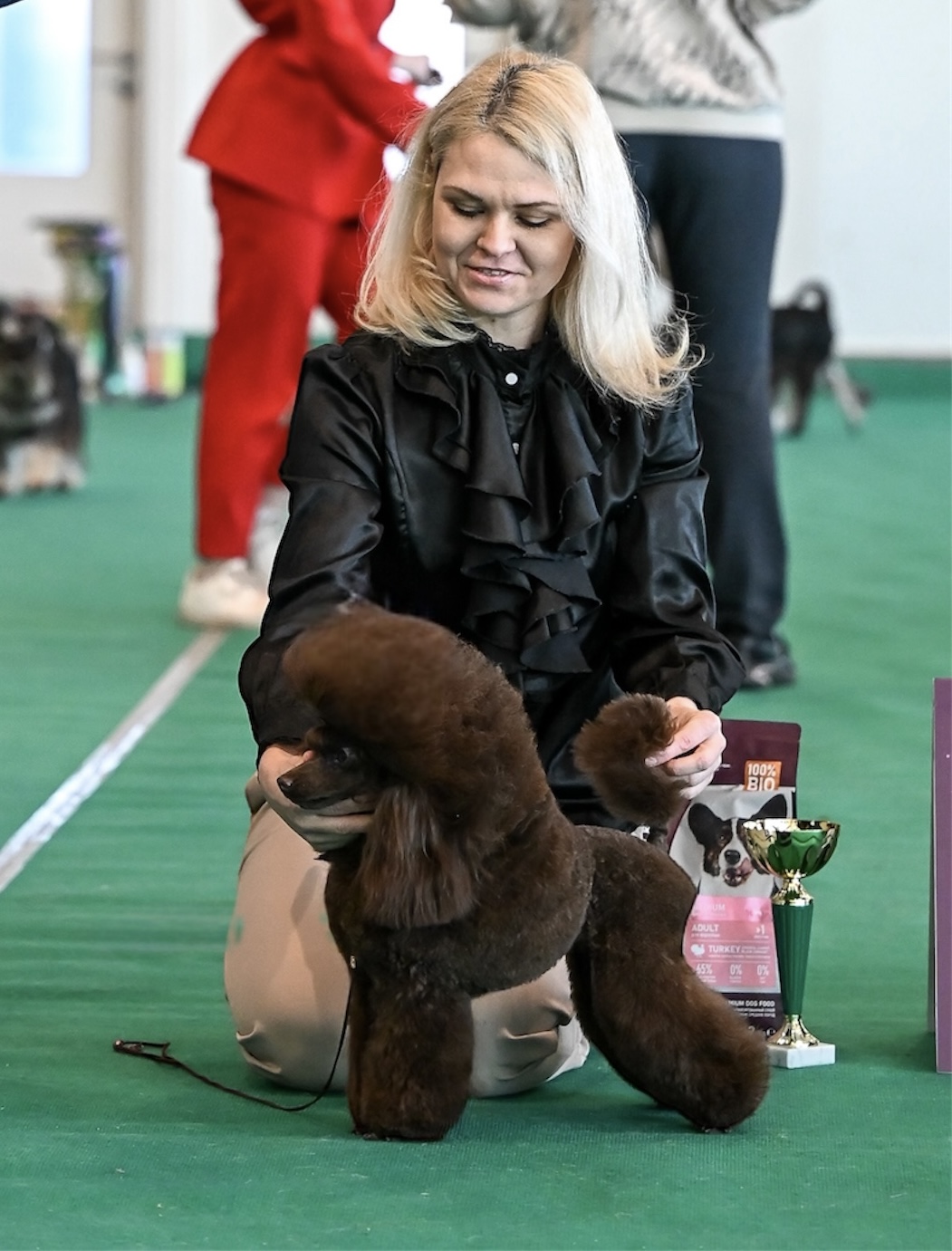 Республиканская выставка пуделей 14.03.2026