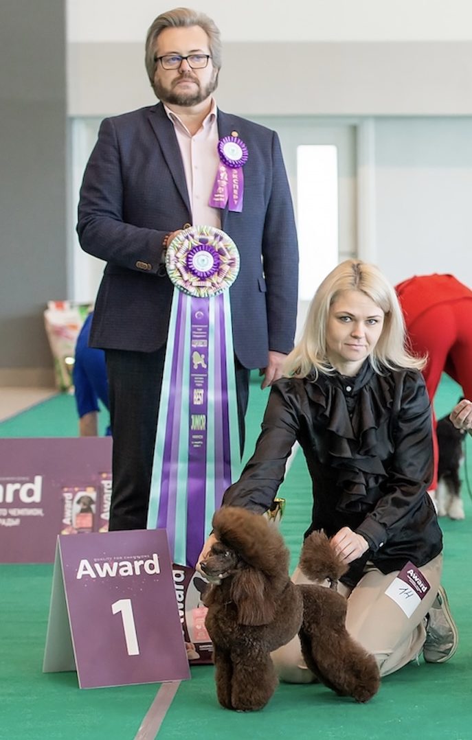 Республиканская выставка пуделей 14.03.2026