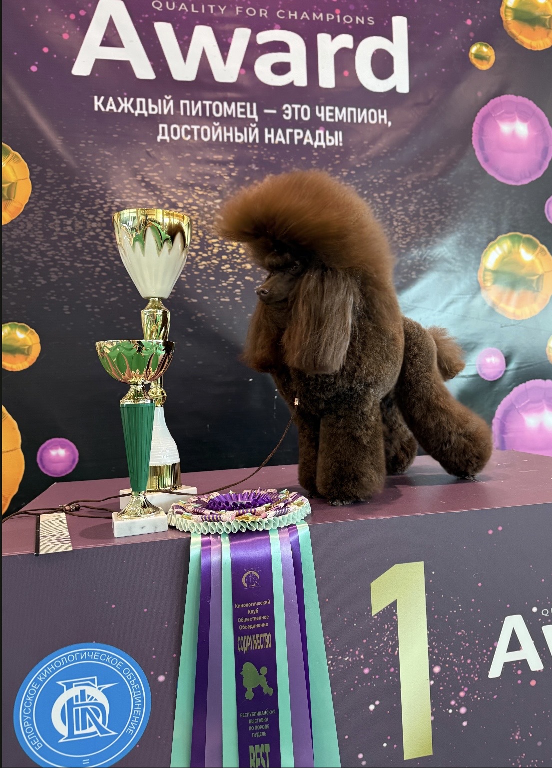 Республиканская выставка пуделей 14.03.2026