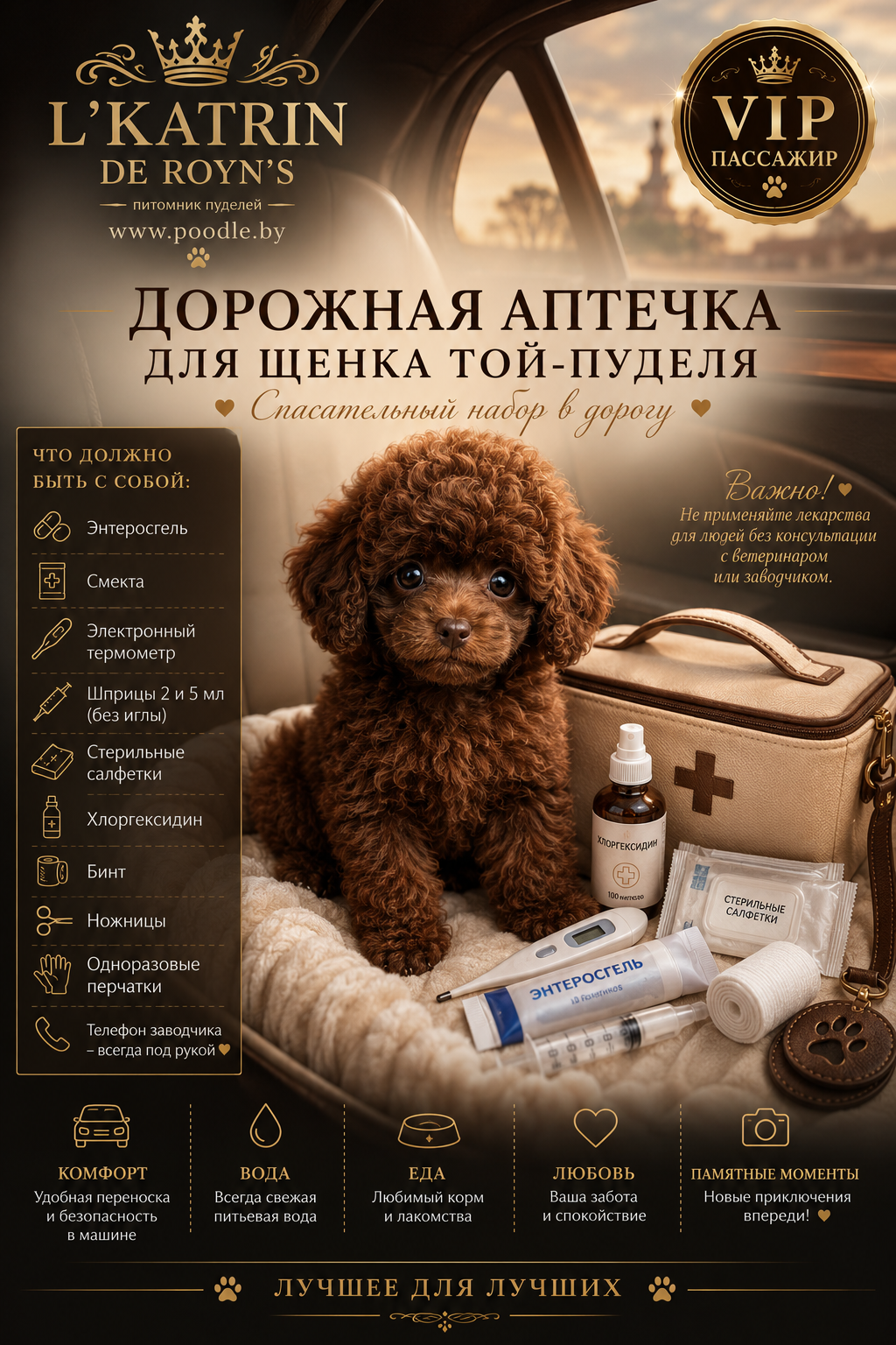 аптечка для щенка, собака в дорогу, путешествие с собакой, аптечка для собаки в машину, первая помощь щенку, пудель в дорогу, советы заводчика пуделей, что взять щенку в дорогу, купить щенка пуделя минск, содержание щенка пуделя, питомник пуделей беларусь