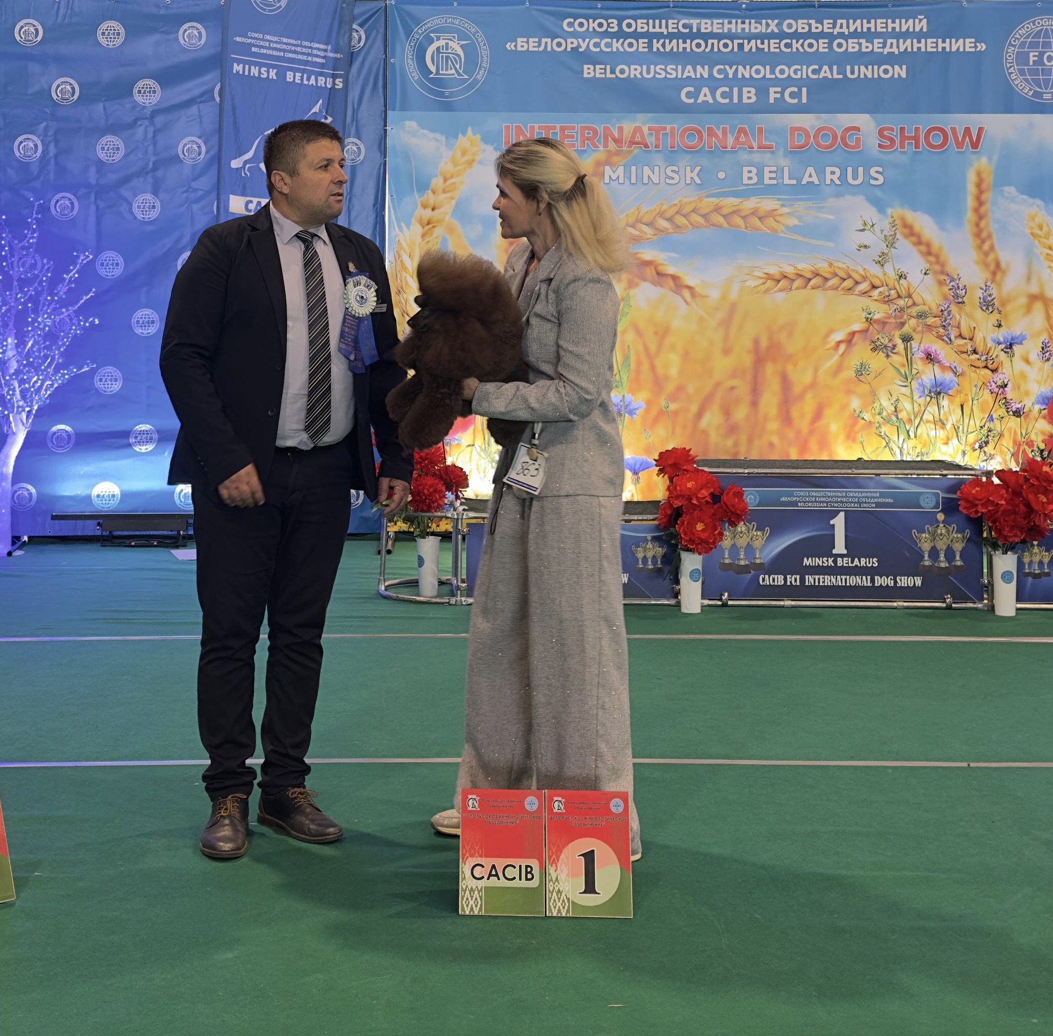 #тойпудель #выставкасобак #CACIB #WinnerOfBelarus2026 #БКО #пудель #poodletoy #dogshow #BestOfBreed