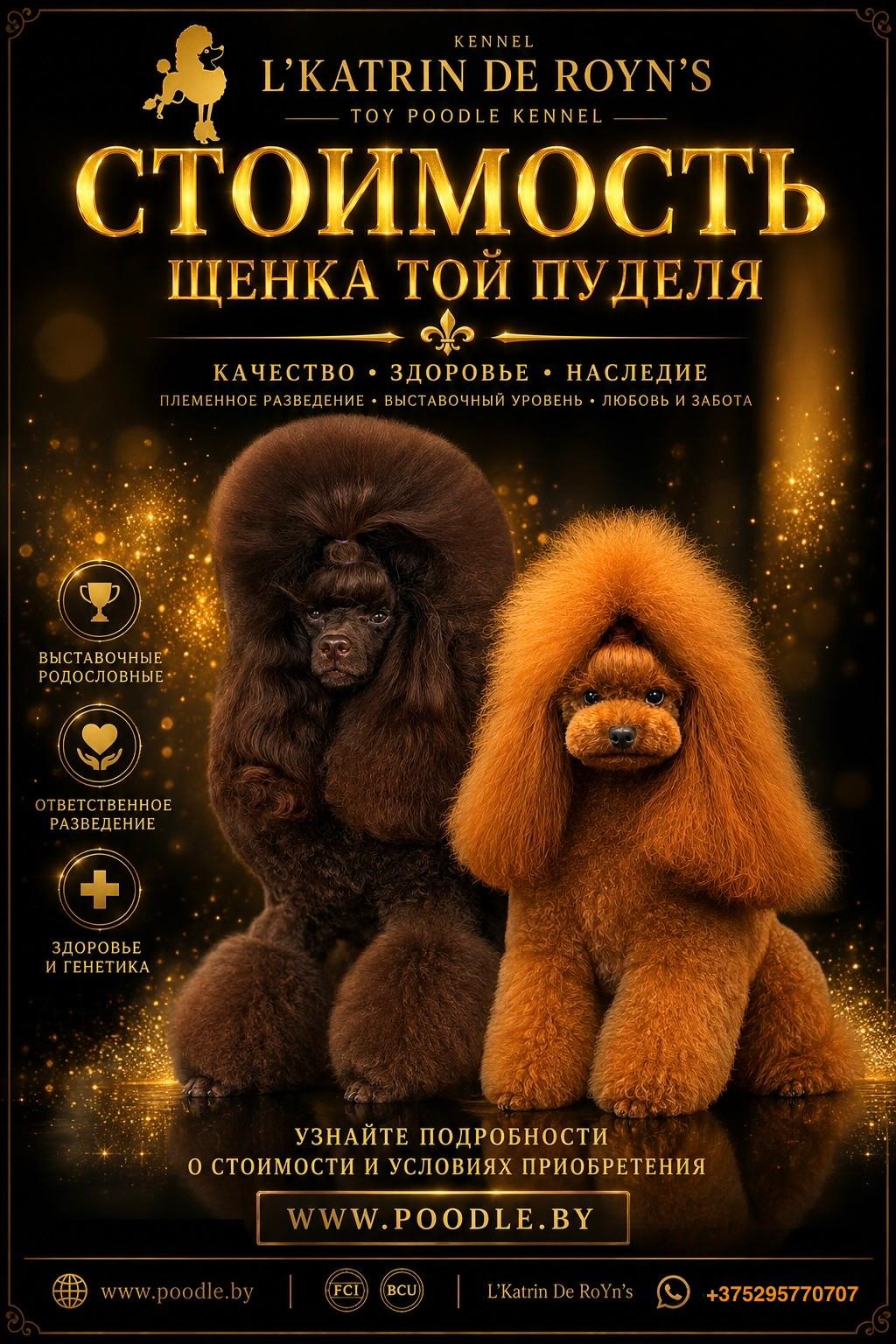 Фраза «нам для себя, на диванчик» — одна из самых частых. Люди часто искренне верят, что отказ от выставок должен автоматически снижать цену щенка в разы.  